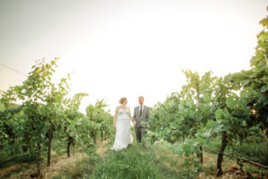 vineyard wedding